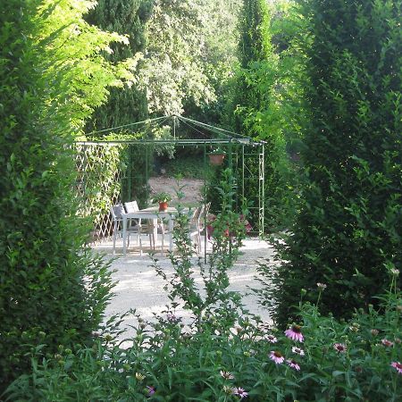 Corte La Selva Drugolo المظهر الخارجي الصورة