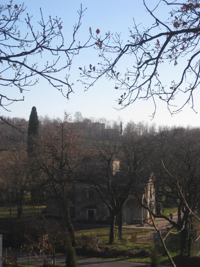 Corte La Selva Drugolo المظهر الخارجي الصورة